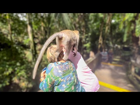 Видео: Я посмотрела В ГЛАЗА ОБЕЗЬЯНЕ- её реакция была мгновенной!