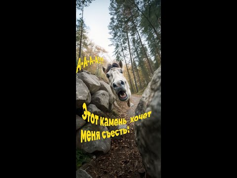 Видео: 🤔Конь пугается без причины? Как приучать коня не бояться?