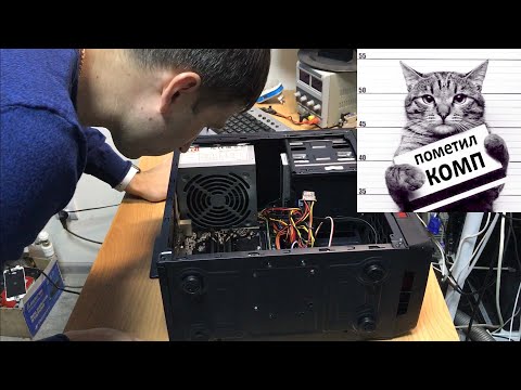 Видео: КОТ ПОМЕТИЛ СИСТЕМНЫЙ БЛОК (ВКЛЮЧАЕТСЯ, НЕТ ИЗОБРАЖЕНИЯ) / ASRock J3355M