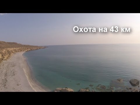 Видео: Охота на 43 км