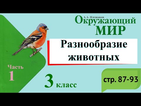 Видео: Разнообразие животных. Окружающий мир. 3 класс, 1 часть. Учебник А. Плешаков стр. 87-93