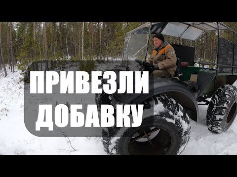 Видео: МЕДВЕДЬ ЖДЕТ ДОБАВКИ. Увезли новую партию тухлятины. Ждем гостей.