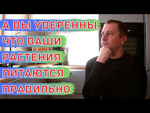 Видео: Баланс элементов питания у растений.