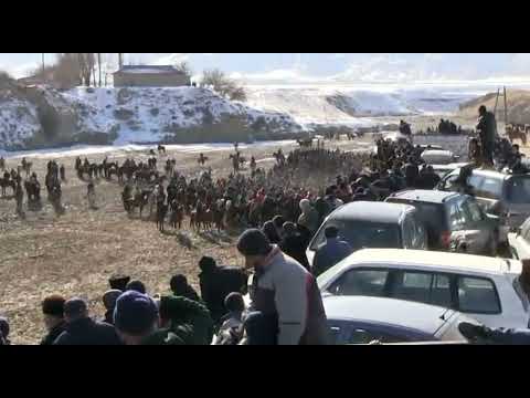 Видео: Бузкаши деҳаи Ёри 02. 01.21 қисми 2 Шерхон видео