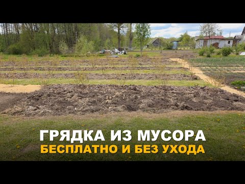 Видео: ГРЯДКА ИЗ РАСТИТЕЛЬНОГО МУСОРА. Необычная грядка идеально подойдет для арбузов, дыни или кабачков.