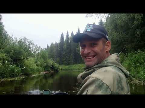Видео: хариус,окунь,щука рыбалка на Лодьме и озёрах Белое малое и большое