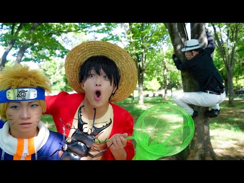 Видео: Король пиратов самый сильный в мире. Сражайтесь с жуками.