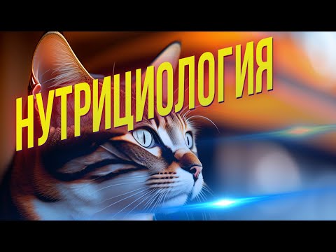 Видео: Как разбираться в питании так хорошо, чтобы на этом зарабатывать?