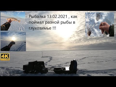 Видео: Зимняя рыбалка. Как поймать рыбу в глухозимье в одиночку. Судак, окунь, белая рыба.