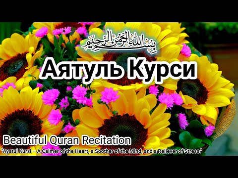 Видео: Прекрасное и мелодичное чтение Аятуль-Курси, руководство перед сном и расслабление сердца