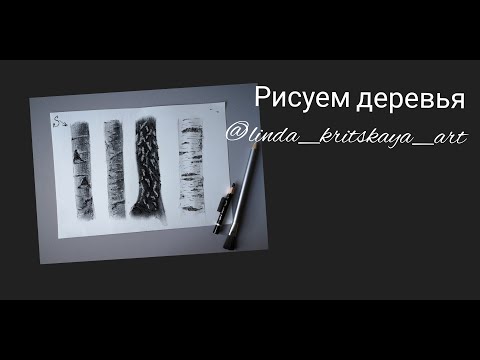 Видео: Учимся рисовать стволы деревьев