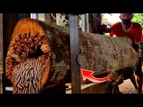 Видео: Атака на лесопилке из красного красного дерева!! Старейшая в мире деревообработка || Лесопилки