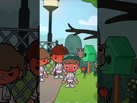 Видео: Тока хомг