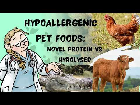Видео: Корм для животных на основе гидролизованного белка и новые белки: кормление животных с пищевой ал...