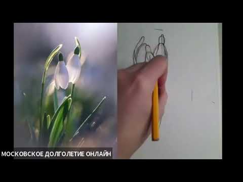 Видео: подснежники 1 часть