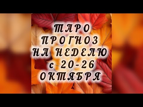 Видео: Таро-прогноз на неделю с 20-26 октября 