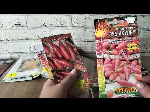 Видео: Начинаю естественный отбор семян к сезону 2026.Выкидываю всё. Вперёд минимализм.Гномы,перцы и.т.д 