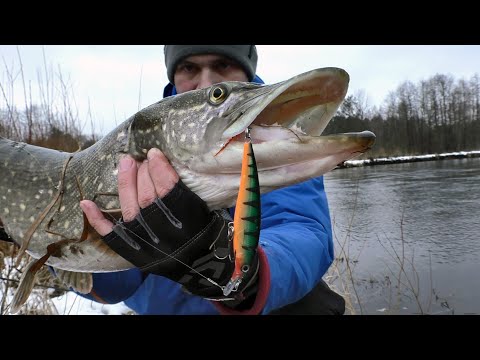 Видео: Трофей на твичинг | Щука на спиннинг зимой | Река Вилия