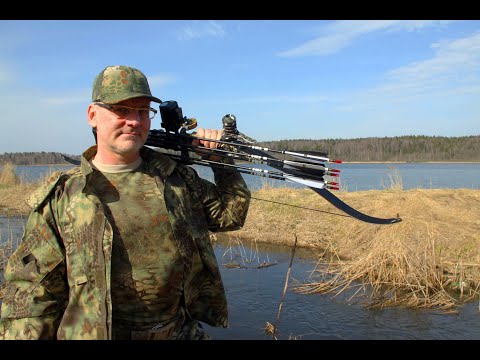 Видео: Браконьерские Луки, или Как и где купить дешево лук для охоты в Москве со скидкой