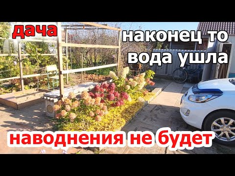 Видео: Дача.Уже Все жухнет и отцветает.Вода наконец то ушла.Сентябрь Орск 2024