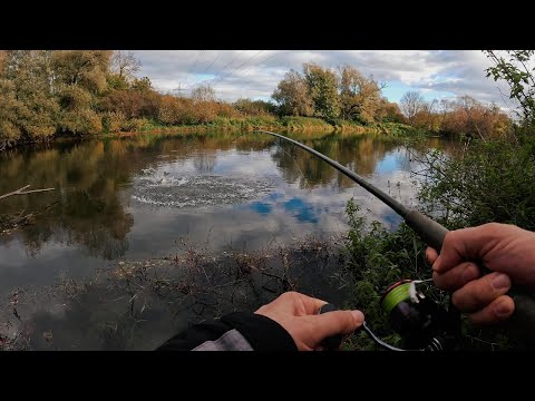 Видео: Такой рыбалки у меня ещё не было !!! Гигантские ЖЕРЕХИ!!!