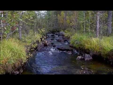 Видео: А просто ещё раз погуляйте со мной. Самому интересно.