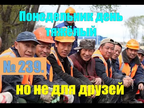 Видео: № 239. Ролик вне очереди. От себя, по настроению. Для облегчения вашего понедельника.#антимошенники