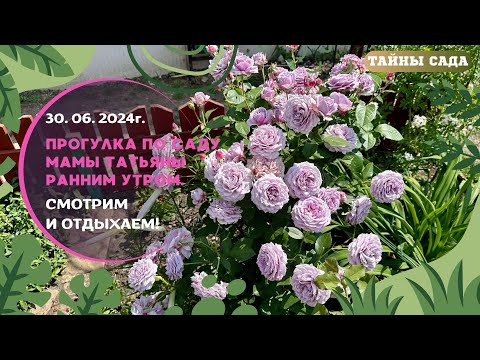 Видео: 30.06.2024г. ПРОГУЛКА ПО САДУ МАМЫ ТАТЬЯНЫ РАННИМ УТРОМ. СМОТРИМ и ОТДЫХАЕМ!