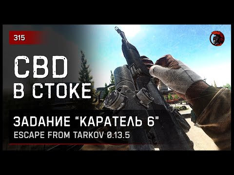 Видео: СВД В СТОКЕ "ЗАДАНИЕ КАРАТЕЛЬ 6" • Escape from Tarkov №315