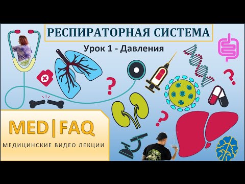 Видео: Респираторная система УРОК 1 - ДАВЛЕНИЯ