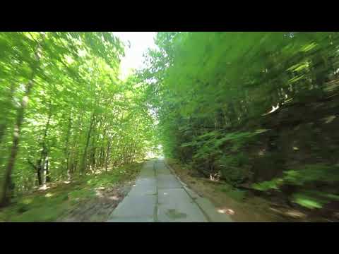 Видео: полонина Руна. Закарпаття. Останній день літа. 31.08.2024 полонина Рівна.  polonina Rivna.