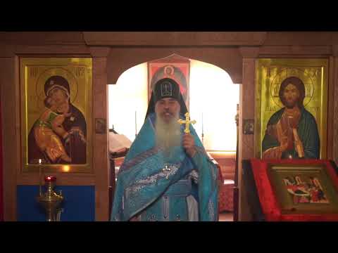 Видео: Праведность и грехи родителей.