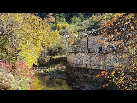 Видео: Широка лъка ОТБЛИЗО