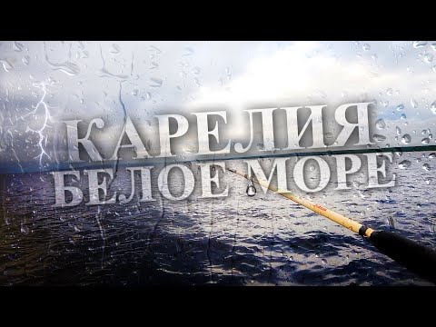 Видео: Карелия 2023 Белое Море || Заехали в УМБУ || Сломалась машина в Карелии || Отливы на Белом море