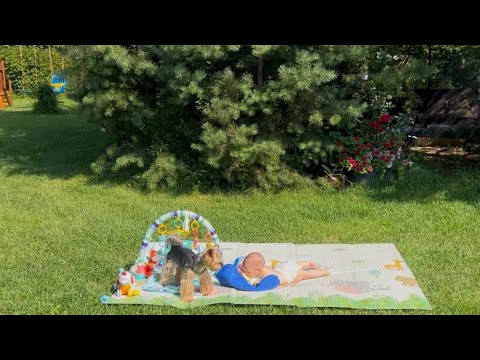 Видео: Внуки любимые у бабули на даче 🥰