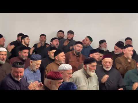Видео: Зикар (1) Саламбек Мохьмад-Эмин Халид Мехди Апти Султан  Ахмат-Юрт Хьасайн х1усмехь. (08.11.2025)