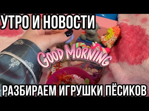 Видео: Утро и Новости, разбираем игрушки сквиши собачек