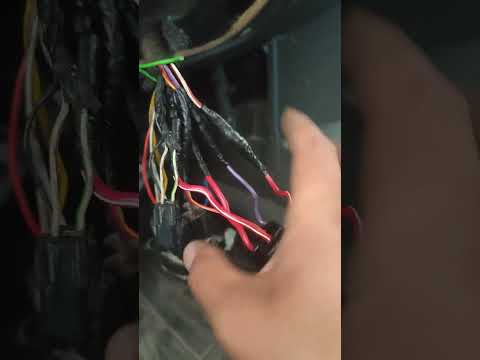 Видео: 25 августа 2025 г.