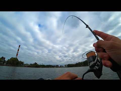 Видео: Секреты ТЁМНЫХ приманок! Что лучше в пасмурную погоду?