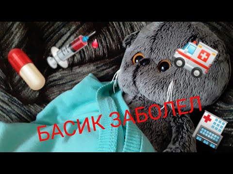 Видео: Басик заболел//зачем Басик принес домой снег?