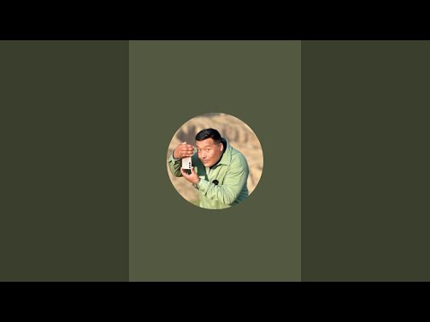 Видео: Normur jingo в прямом эфире!