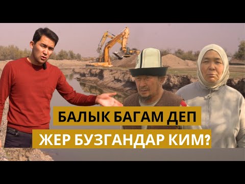 Видео: БАЛЫК багам деп КУМУН сатып жатышат // Жайытын алдаткан айыл // МТФ айылы // Аламудун району