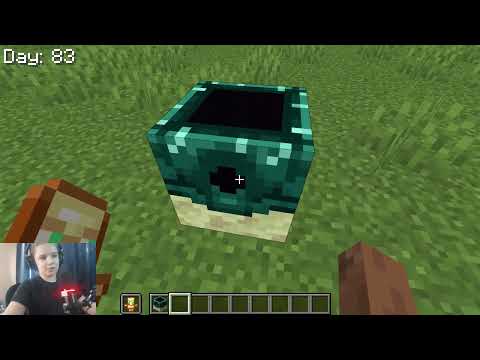 Видео: обзор на мод эндерита