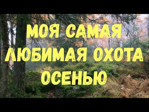 Видео: Моя самая любимая охота осенью