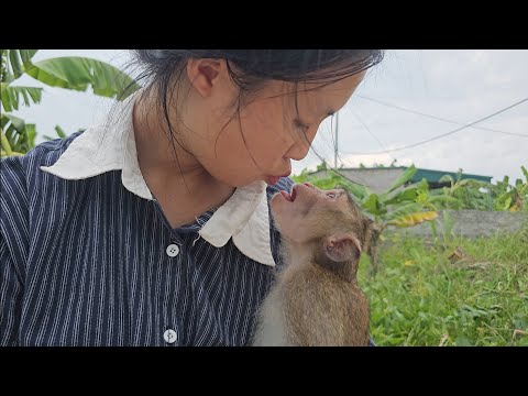 Видео: Хыонг вернулся домой после месяца отсутствия. Наху переполняли эмоции.