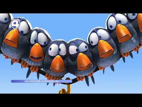 Видео: ЧТО ПОЯВИЛОСЬ РАНЬШЕ: ПЕРО ИЛИ ПТИЦА? Этот факт вас удивит! 7.08.2024