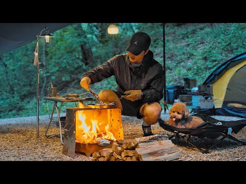 Видео: Одиночный кемпинг в лесу . Уютный отдых с собакой . Дровяная печь ASMR