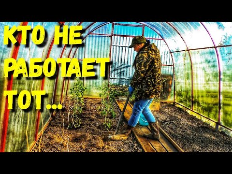 Видео: Живу в частном доме и некогда отдыхать, каждый день работа. Жизнь в деревне. Купила дом в деревне.