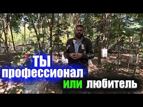 Видео: Профессиональная пасека это...