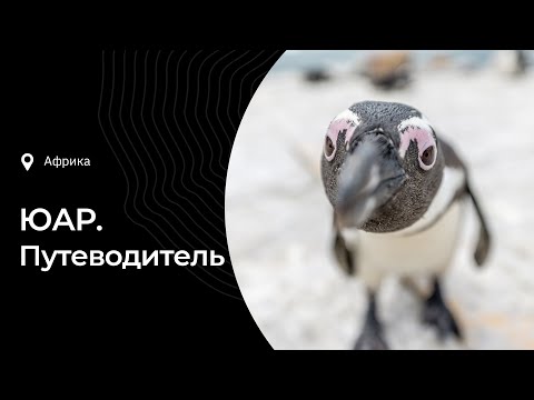 Видео: Путеводитель по ЮАР: интересные факты, туры, где жить, что посмотреть, что попробовать, история
